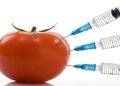 Toxins In Food And The Ways to Avoid Those