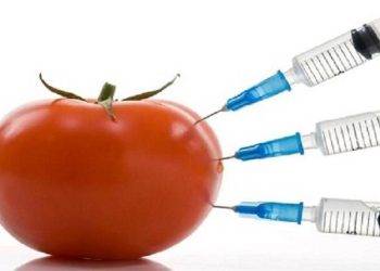 Toxins In Food And The Ways to Avoid Those