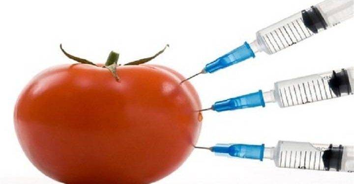Toxins In Food And The Ways to Avoid Those