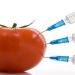 Toxins In Food And The Ways to Avoid Those