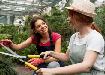 Expert Tips from Lawn Care Pros